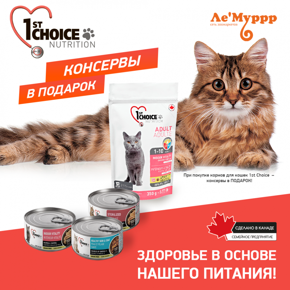 Choice Корм Для Кошек Купить Спб