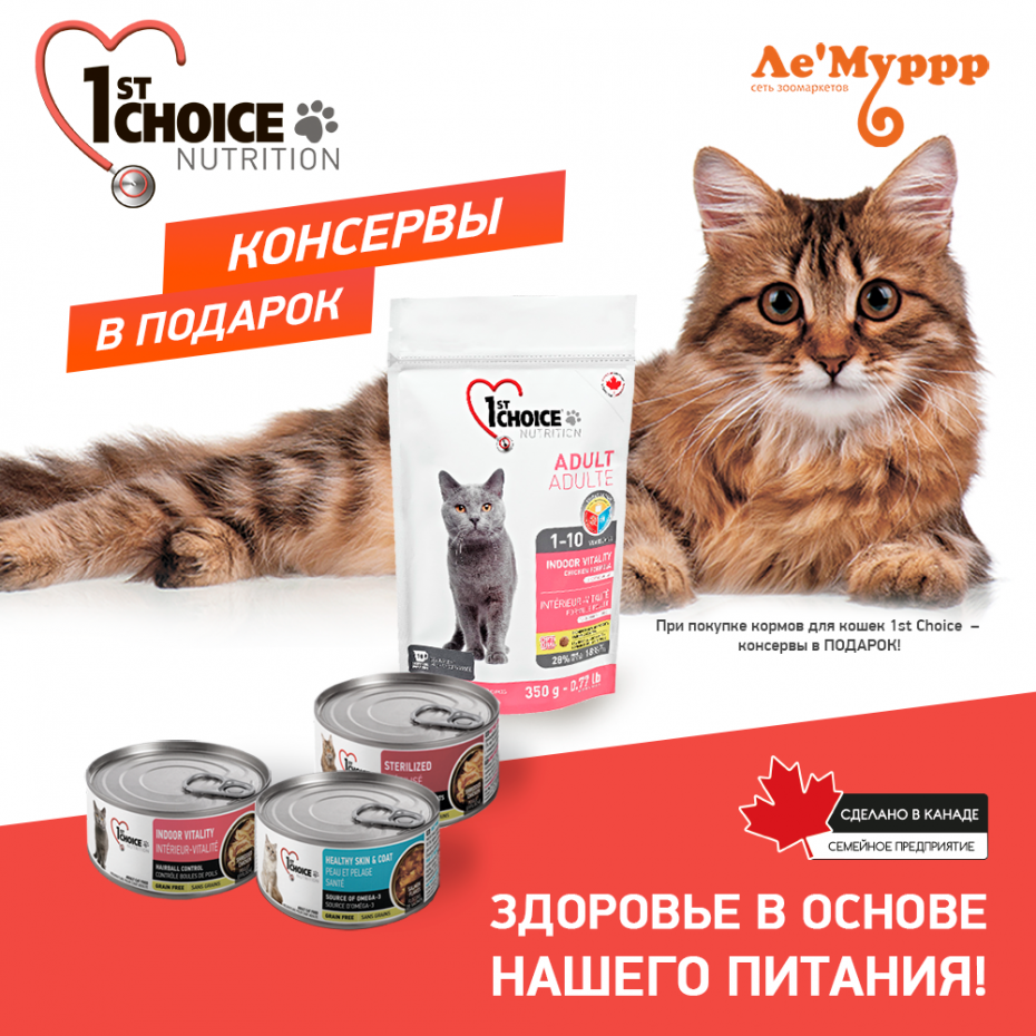 Кошачий корм спб